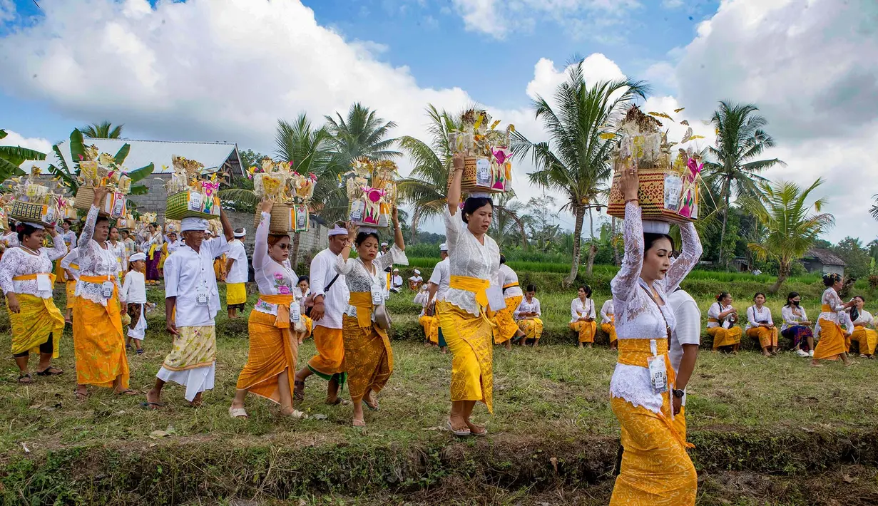 Para wanita yang mengenakan pakaian adat menjunjung sesajen di atas kepala mereka dalam ritual Hindu Bali bernama Usaba Sri di Karangasem, Bali, Senin, 10 Agustus 2026. (Foto AP/Firdia Lisnawati)