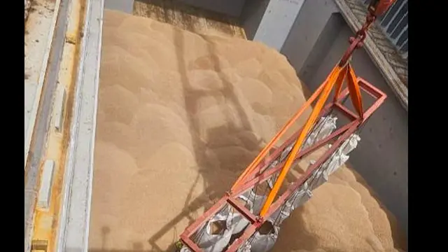 Bea cukai dukung ekspor wood pellet bersertifikasi milik PT Mangole Timber Producers ke Jepang. Keberhasilan ekspor ini mencerminkan daya saing produk kehutanan dari wilayah terpencil di pasar global. (Istimewa)