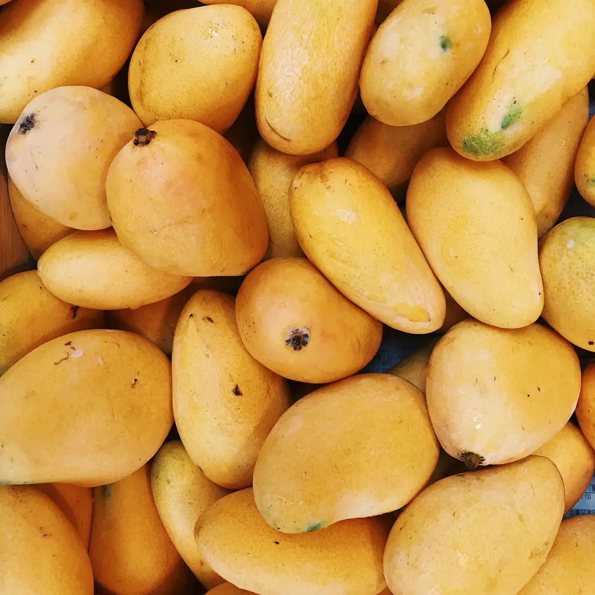 Arti Mimpi Tentang Buah Mangga, Pertanda Kegembiraan? - Ragam