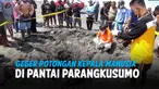 GEGER POTONGAN KEPALA MANUSIA DI PANTAI PARANGKUSUMO