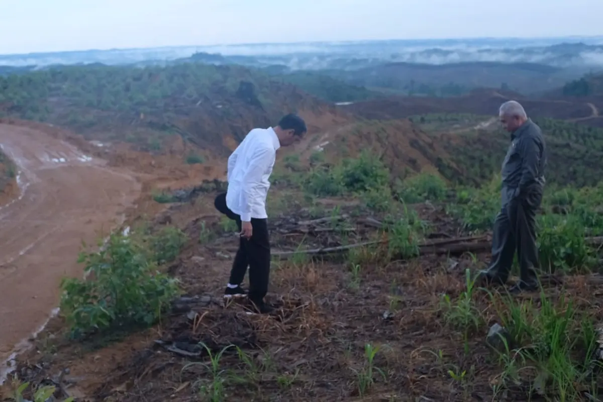 Presiden Jokowi meninjau ibu kota baru di Kecamatan Sepaku, Kabupaten Penajam Paser Utara, Kalimantan Timur, Selasa (17/12/2019).(Liputan6.com/ Lizsa Egeham)