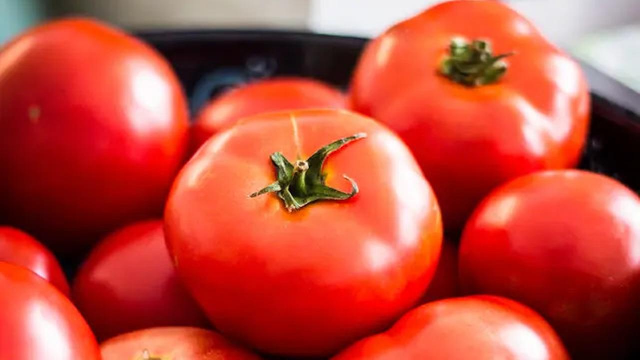 5 Bahan Alami untuk Mengobati Kanker Prostat