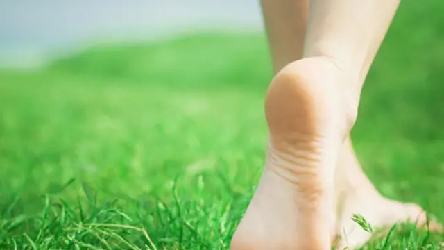 Foto: copyright Thinkstockphotos.com