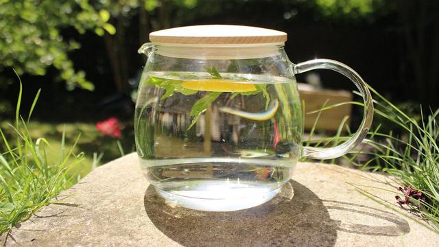 Ilustrasi infused water lemon