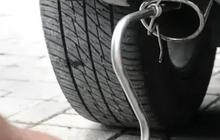 Segini Harga Tes Uji Emisi Motor dan Mobil