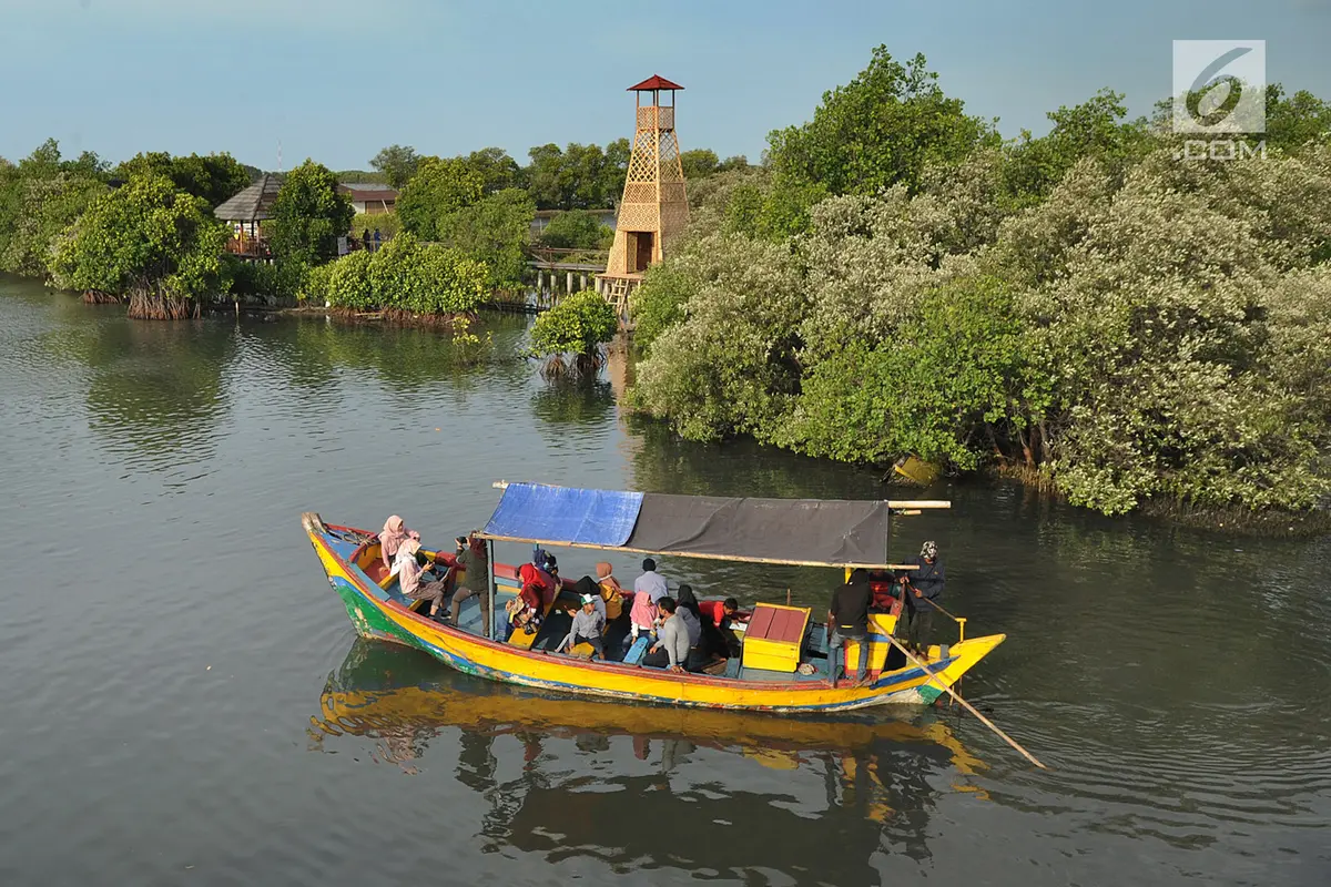 Menikmati Indahnya Wisata Mangrove di Bekasi