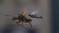 Ant-Man and the Wasp. (Marvel Studios)