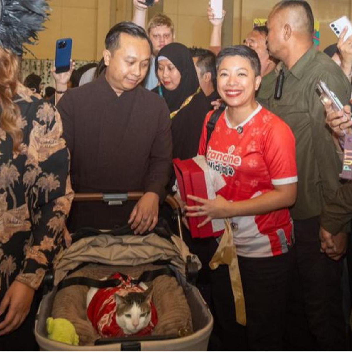 Bobby The Cat, Kucing Prabowo