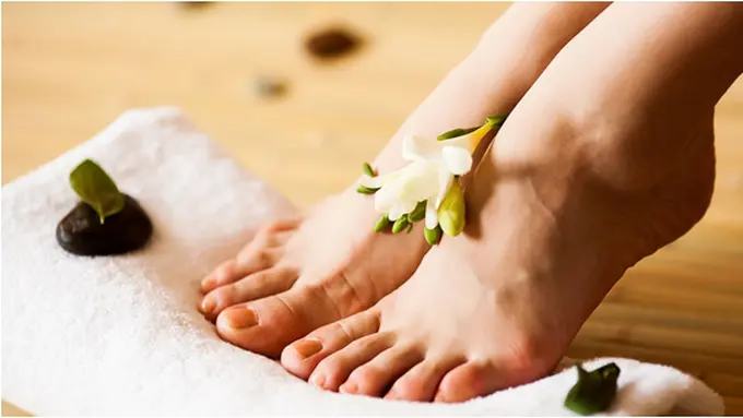 Courtesy ShutterStock.com