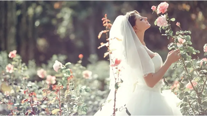 Foto: copyright vemale.com