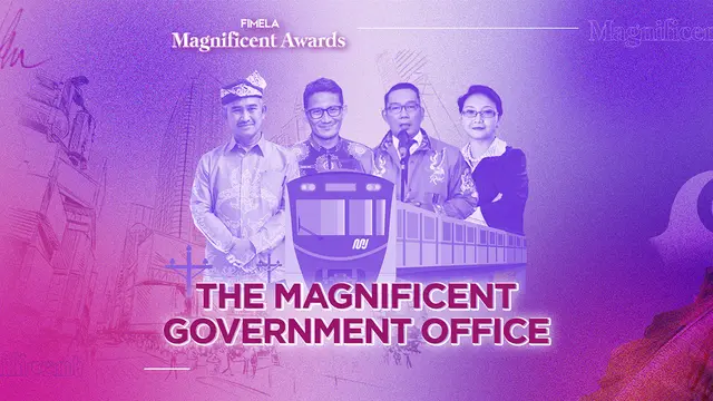 The Magnificent Government