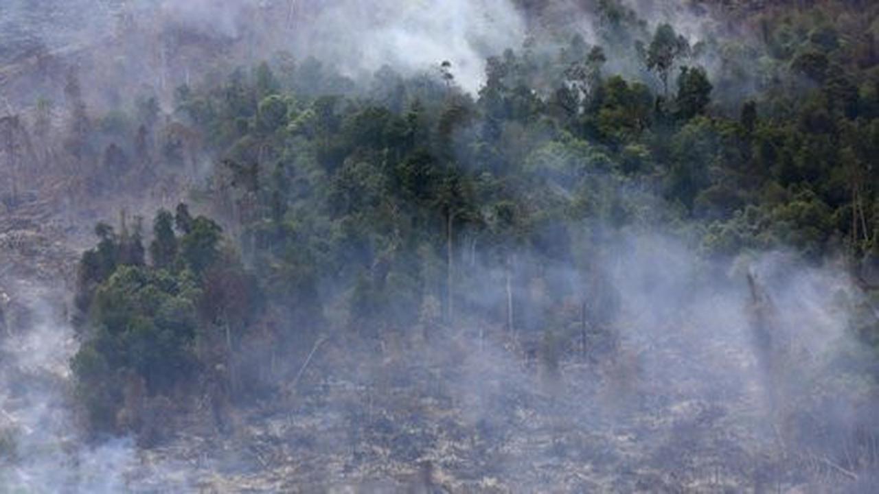 Pantauan satelit ungkap hotspot di Jambi kedalaman 9 meter