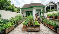 7 Ide Kebun Sayur untuk Rumah Kontrakan yang Tidak Boleh Dibongkar, Mudah Dibuat