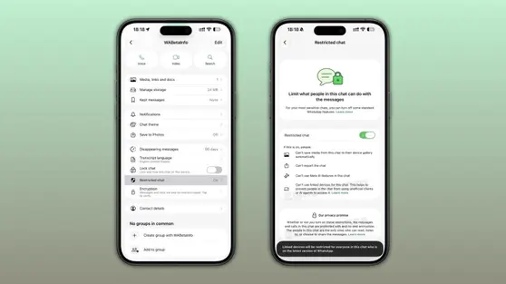 WhatsApp Uji Restricted Chat untuk Cegah AI Sadap Isi Pesan, Ini Cara Kerjanya