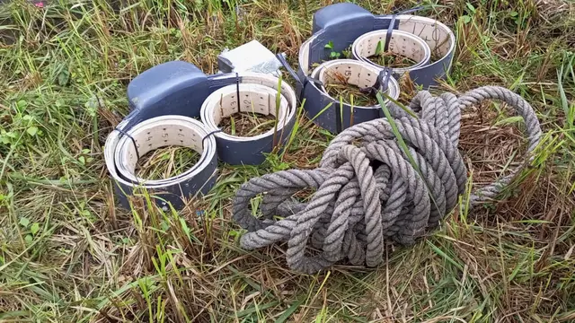 GPS Collar dan Pelestarian Habitat Gajah Sumatra di Sumsel
