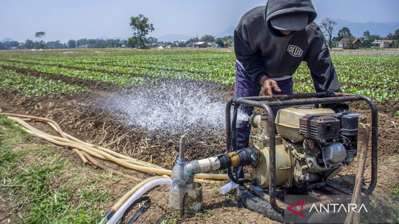 Pompanisasi Temanggung: Tingkatkan Luas Tanam Padi dan Produktivitas Pertanian