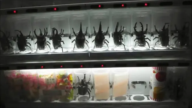 6 Potret Vending Machine Ini Jual Tanaman dan Hewan Hidup, Tak Habis Pikir