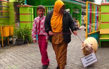Cerita Rayyan, Bocah 9 Tahun Asal Lumajang Berkurban Kambing Peliharaannya