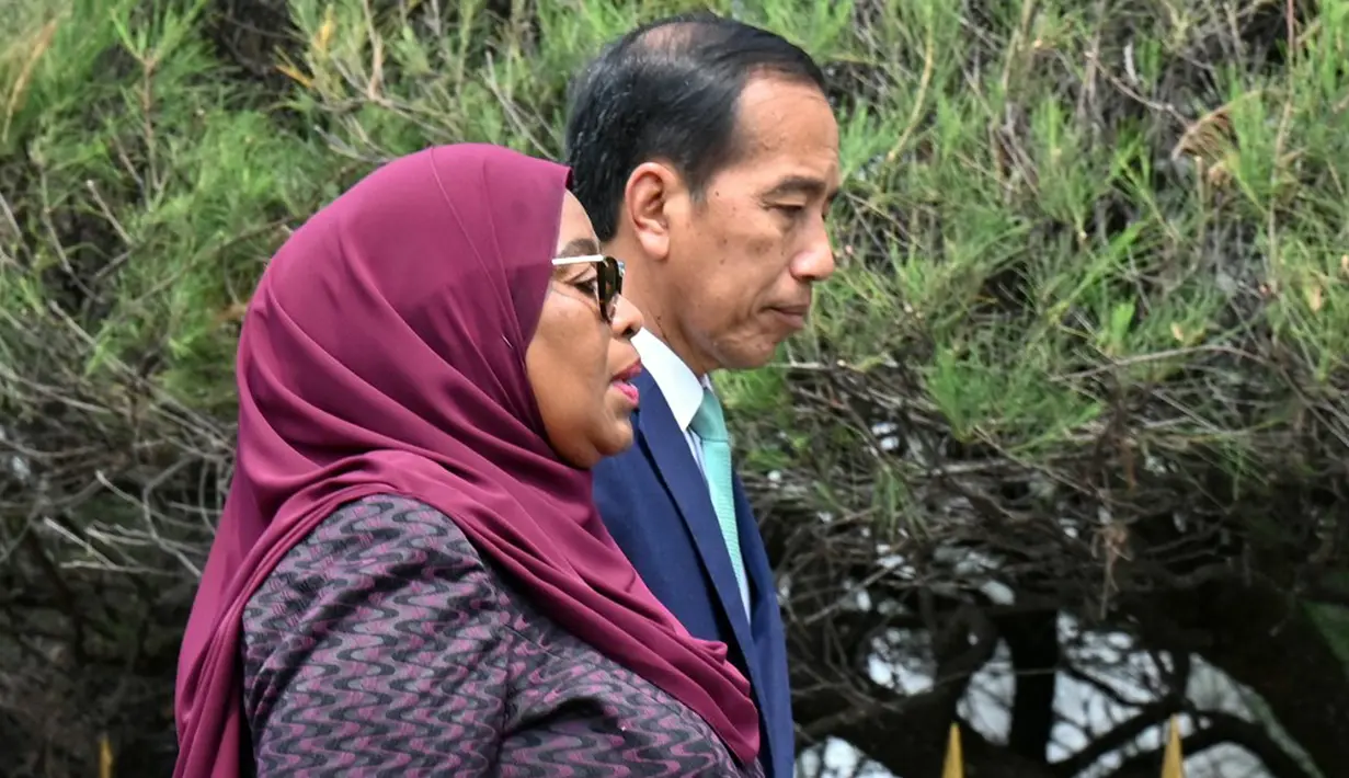 Kemudian Jokowi langsung mengajak Samia ke veranda belakang Istana Bogor untuk berbincang sejenak. Lalu Jokowi dan Samia melakukan prosesi penanaman pohon perdamaian. (Adek BERRY/AFP)