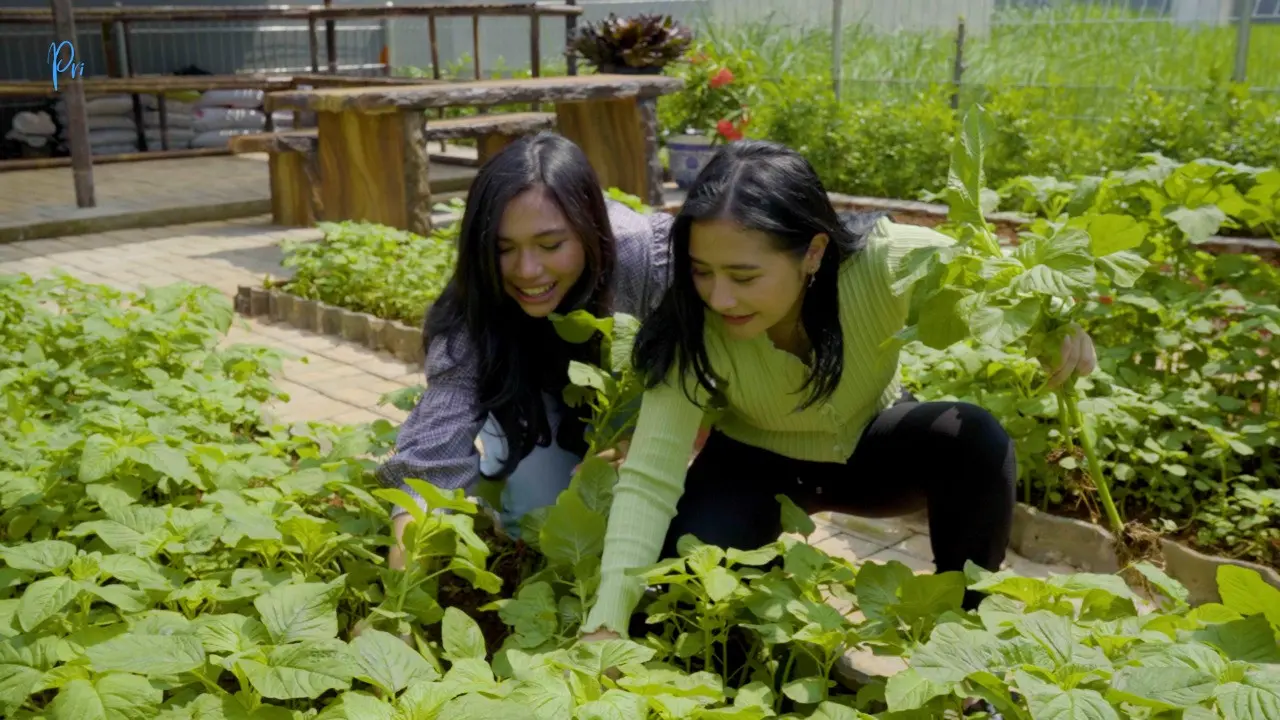 Prilly Latuconsina dan Aminda