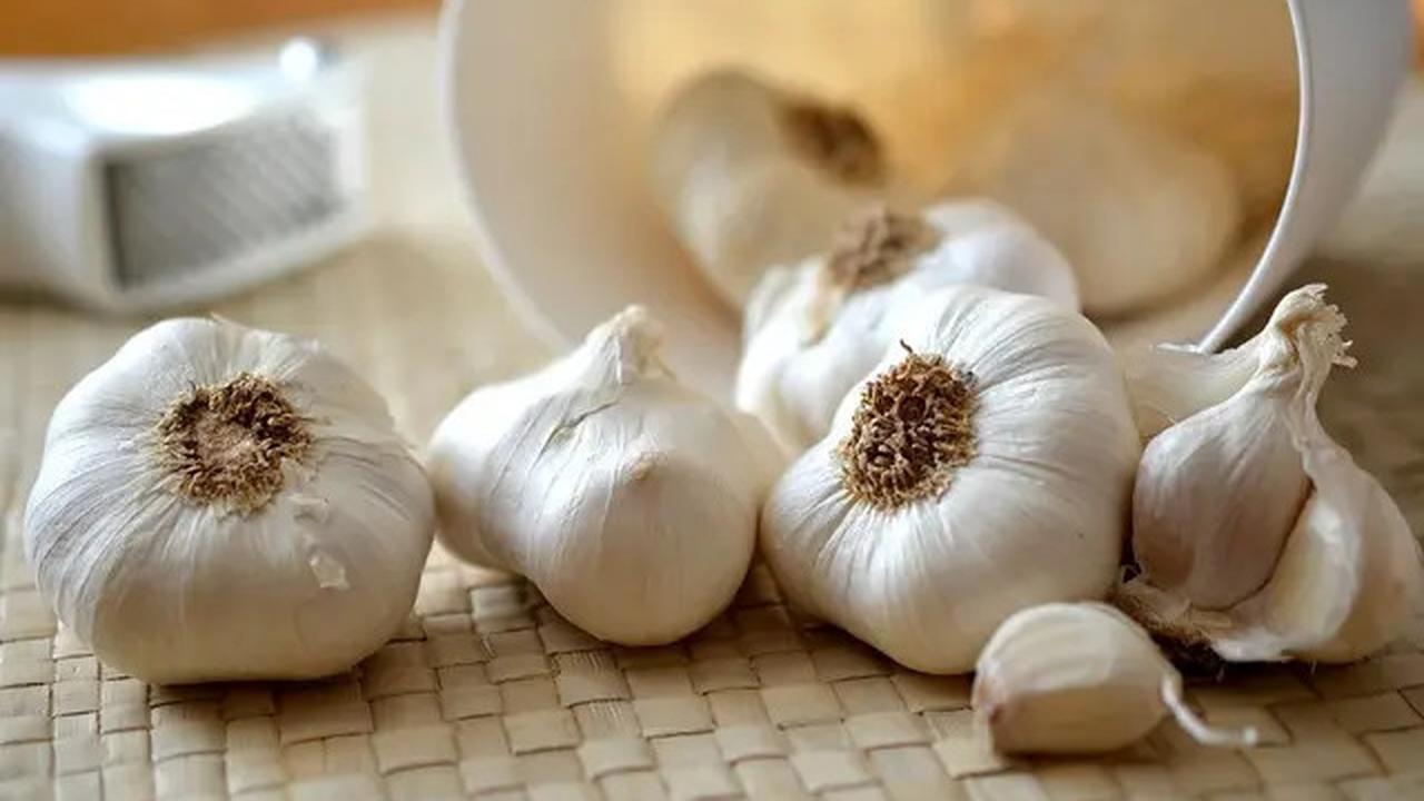 7 Bahan Dapur yang Ampuh untuk Mengusir Ular di Rumah