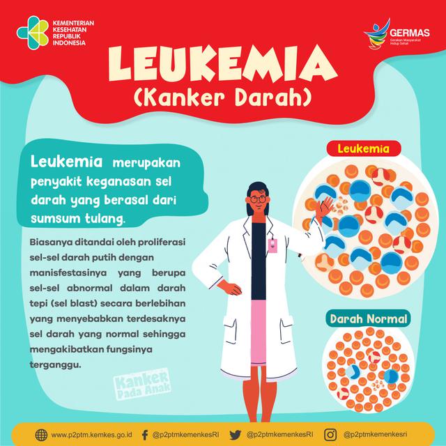 Infografis Leukemia (Kanker Darah)