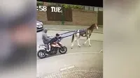 Dua penjahat gunakan kuda untuk mencuri motor (Autoevolution)