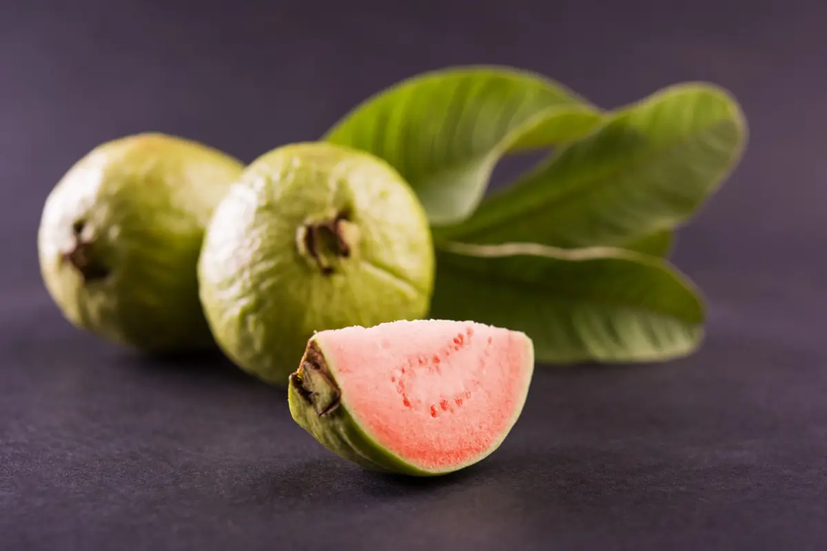 ilustrasi manfaat daun jambu biji untuk kecantikan yang bisa mengatasi komedo di wajah/StockImageFactory.com/shutterstock