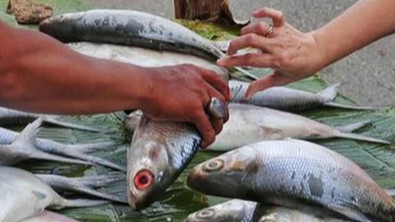 Tahun Baru Imlek 2026, Santap 3 Makanan Pembawa Hoki Sambut Tahun Kuda Api