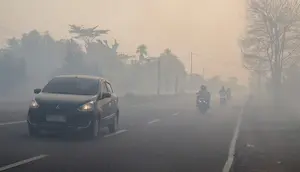 Komisi IV Desak Kebakaran Hutan Kalimantan Jadi Prioritas Nasional