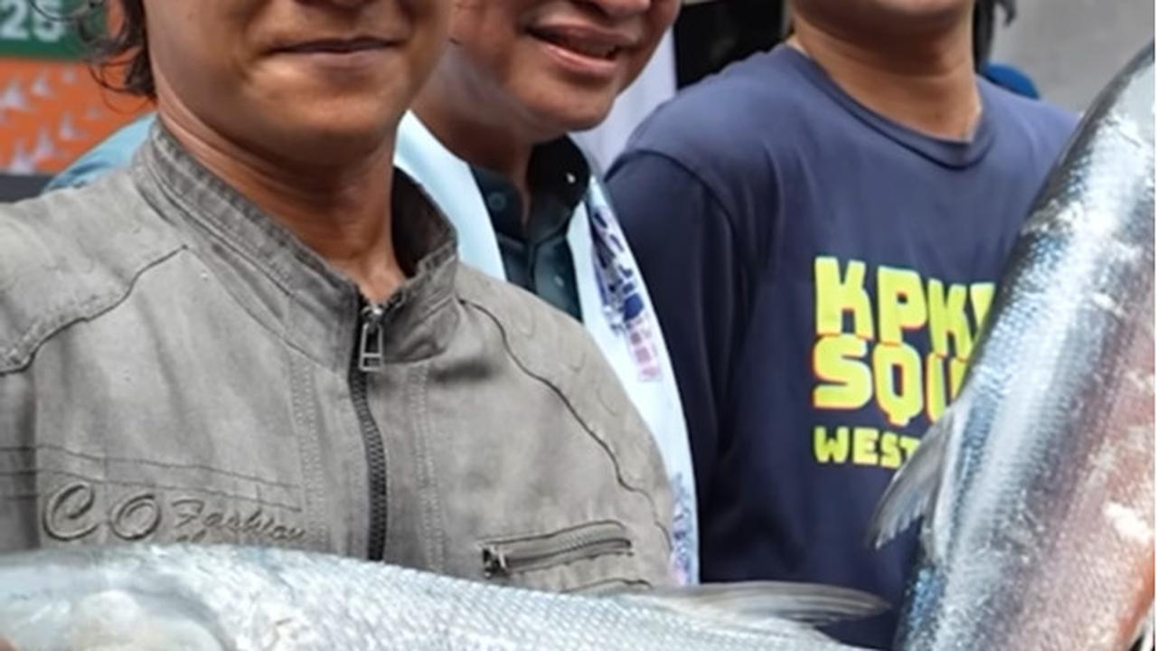 pram ikut lelang bandeng