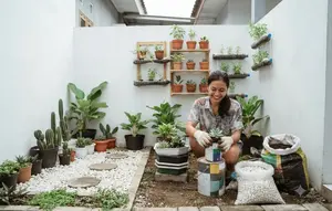Cara Membuat Taman di Rumah dari Nol, Panduan Lengkap agar Asri, Sejuk, dan Mudah Dirawat