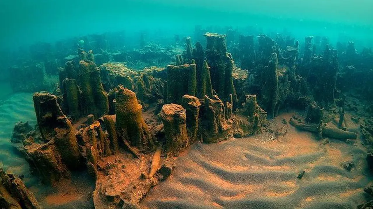 Warga Temukan Monster Misterius di Danau Ini, Ternyata...