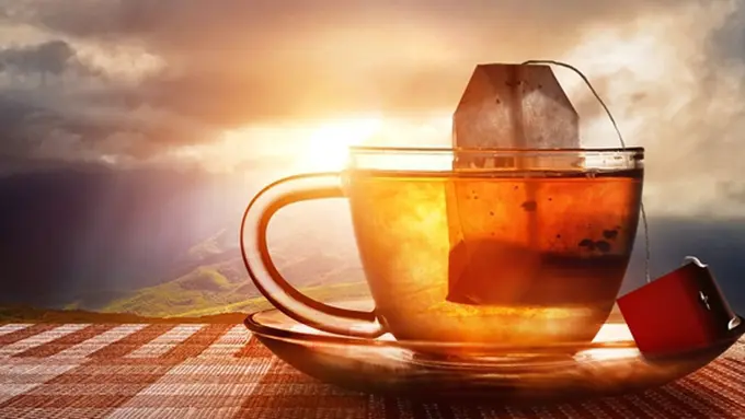 Copyright by Shutterstock.com