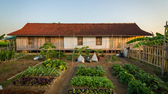 Desain Rumah Desa Memanjang yang Cocok untuk Tanah Sempit (AI)