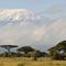 Gunung Kilimanjaro. (Photo credit: AFP Photo/Mladen Antonov)