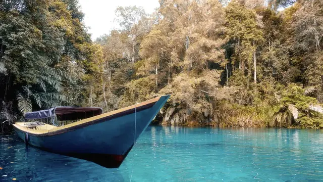 Ilustrasi Kalimantan