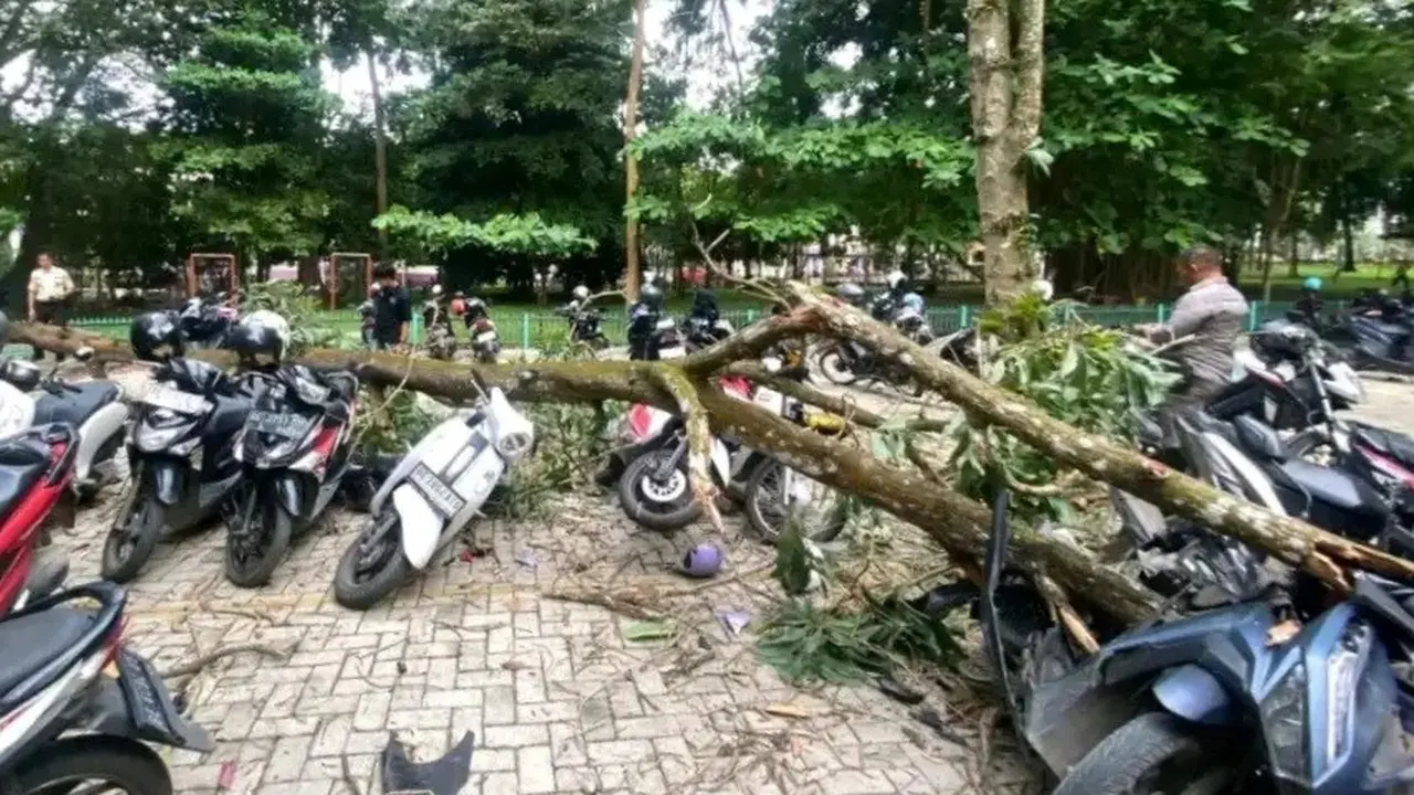 Pohon Tumbang di Unila Hantam 8 Motor Mahasiswa, Ada yang Ringsek Tak Bisa Dipakai