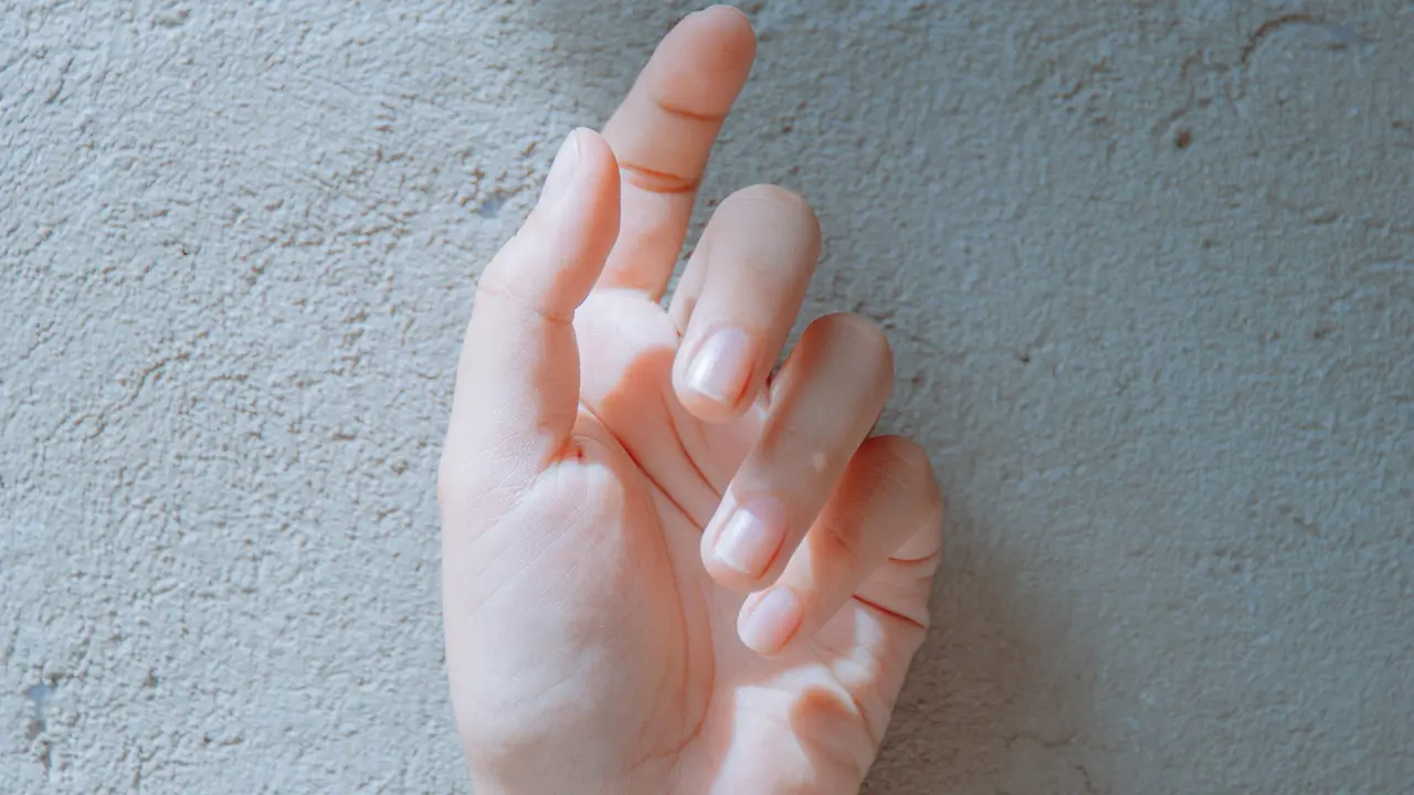 garis tangan
