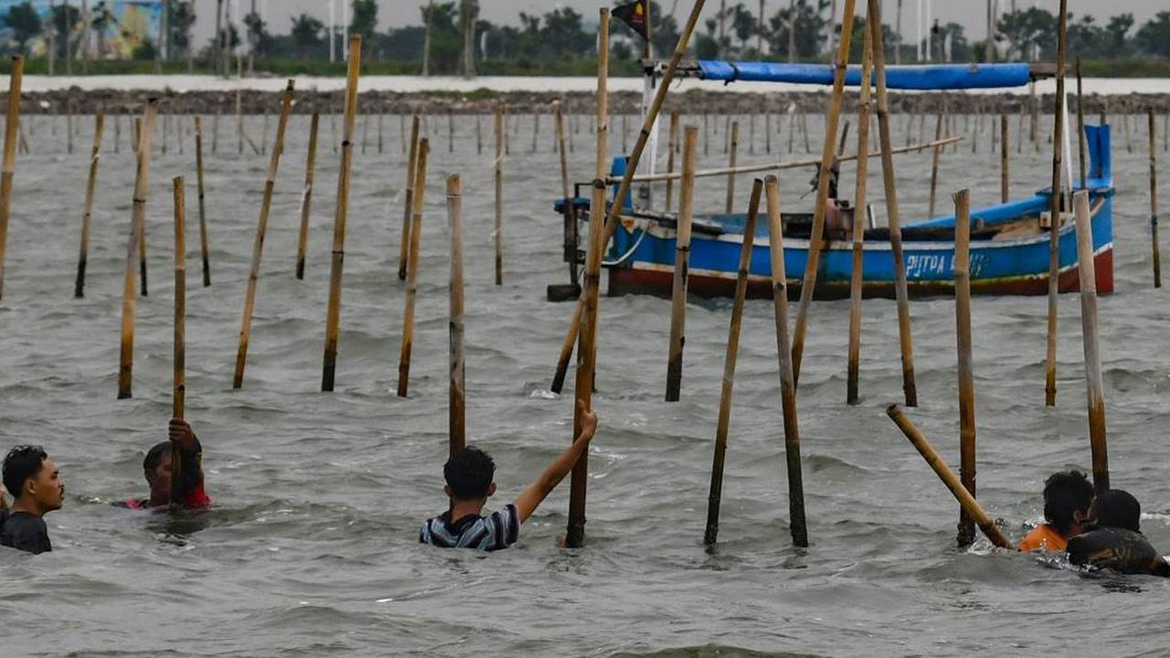 Aksi Ribuan Pasukan TNI AL dan Nelayan Bersatu Bongkar Pagar Laut Misterius di Tangerang