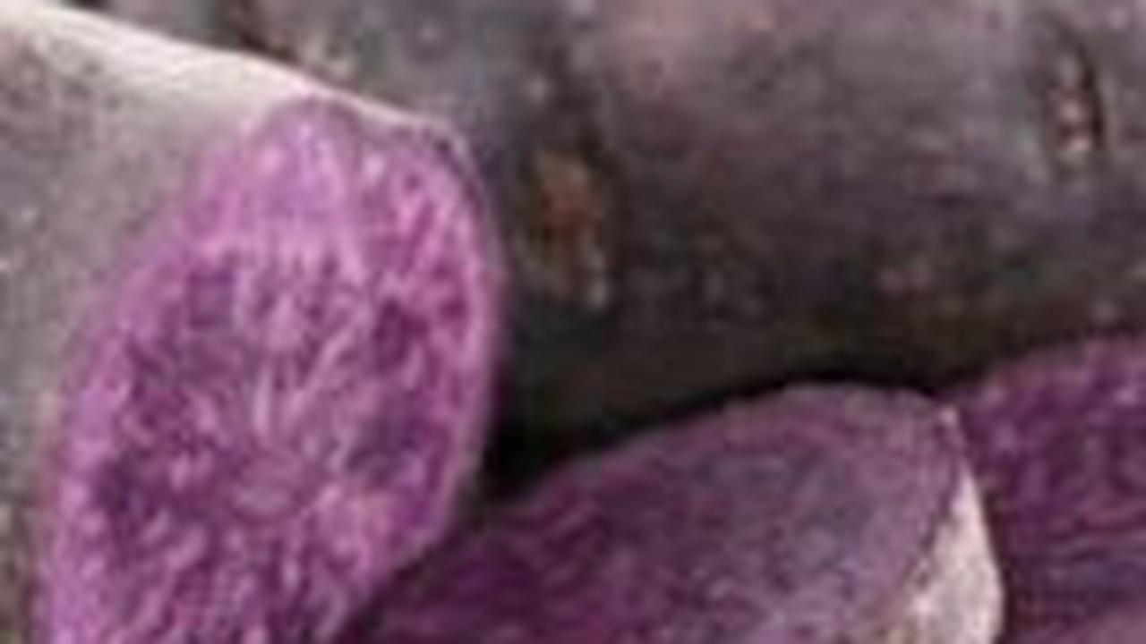 5. Ubi: Pilihan Nutrisi Lezat untuk Si Kecil