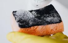 Cara Menghilangkan Noda Gosong di Dasar Panci dengan Sabun Colek, Hemat dan Ampuh