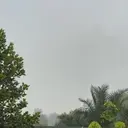 Kabut Asap Kebakaran Hutan Masih Hantui Desa Limbung Kalbar