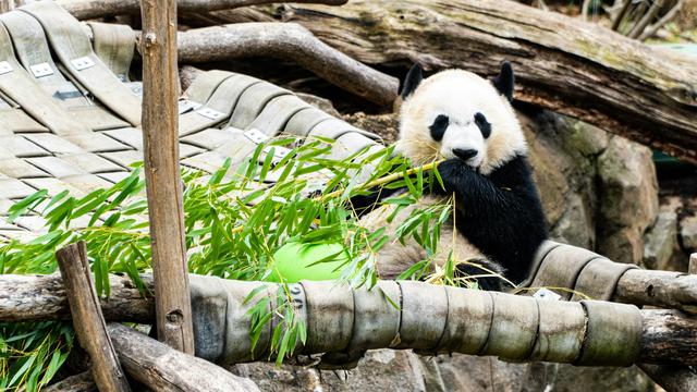 National Zoo