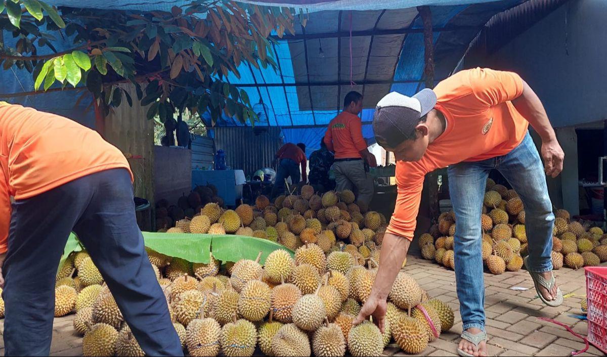 “Raja buah-buahan” yang diselimuti duri ini terus mengalami tren yang positif di kalangan masyarakat China.&nbsp;