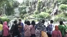 liputan6