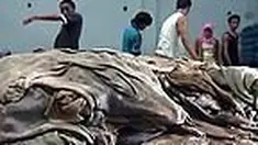 liputan6