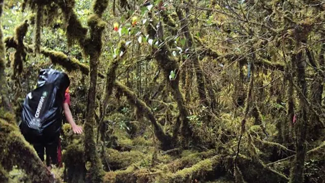 Pemandangan di jalur Gunung Balease