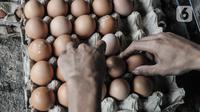 Pekerja mengecek telur ayam ras yang akan dijual ke pembeli di salah satu agen di Jakarta, Rabu (24/8/2022). Berdasarkan data yang dilansir dari Info Pangan Jakarta, rata-rata harga telur ayam ras hari ini Rp 31.024 per kg. Harga tertinggi yakni di Pasar Petojo Ilir, Rp 35.000 per kg. (merdeka.com/Iqbal S. Nugroho)