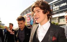 Wanita ini rela ganti kelamin demi Harry Styles